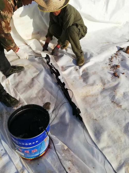 土工材料土工膜防滲膜復(fù)合土工膜防滲專用膠廠家直銷